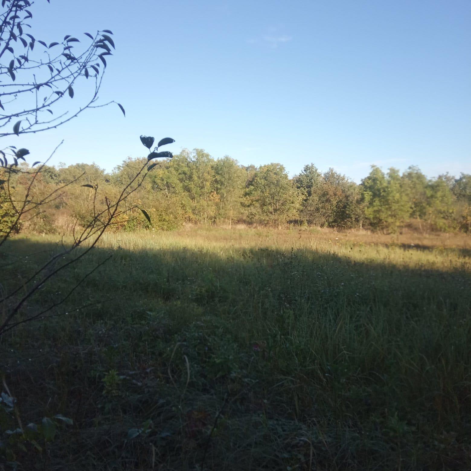 Фото №10: Дом 48 м² + 25 сот. - Ганжинский, ул. Кузнечная, 19