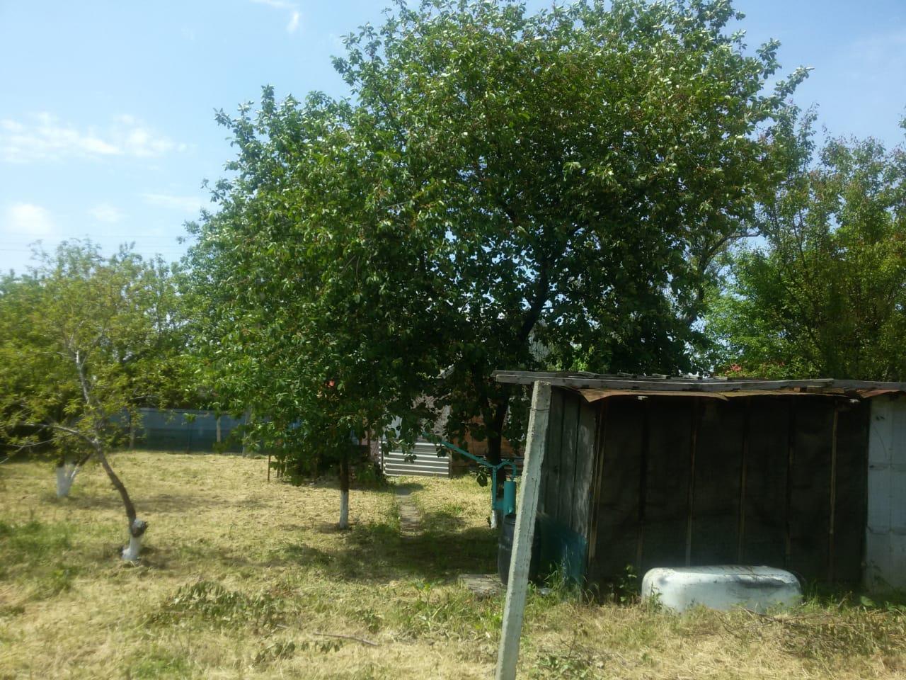 Фото №19: Дом 30 м² + 6.12 сот. - Монтажник, ул. Рябиновая, 393