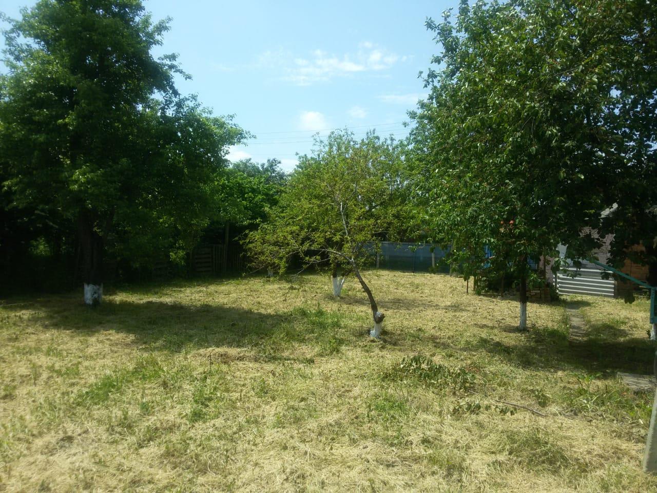 Фото №14: Дом 30 м² + 6.12 сот. - Монтажник, ул. Рябиновая, 393