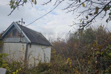 Фото №5: Личное подсобное хозяйство - Берег Кубани ВНИИ риса, мкр. Прикубанский внутригородской округ, ул. Цветочная, 232