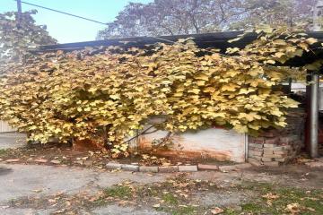 Фото №1: 1-комнатная квартира 21 м² - Краснодар, мкр. Центральный, ул. Кирова, 20