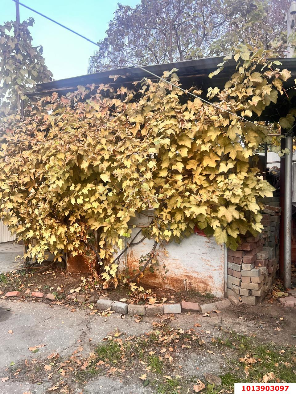 Фото №1: 1-комнатная квартира 21 м² - Краснодар, Западный внутригородской округ, мкр. Центральный, ул. Кирова, 20