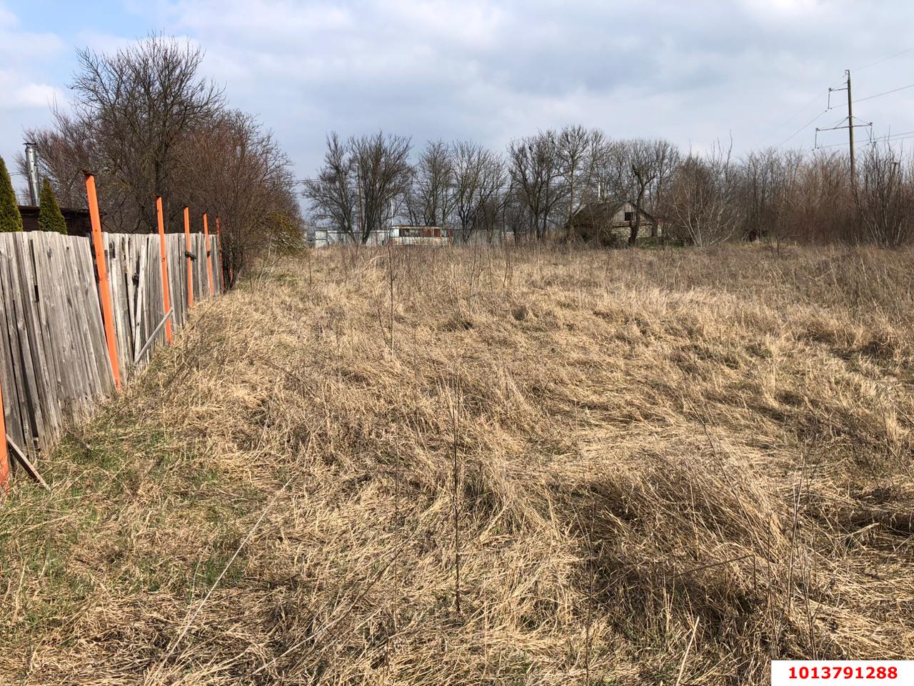 Фото №1: Земельный участок 50 сот. - Осечки