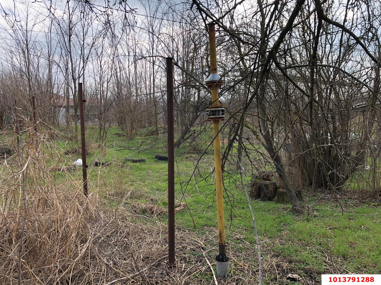 Фото №4: Земельный участок 50 сот. - Осечки