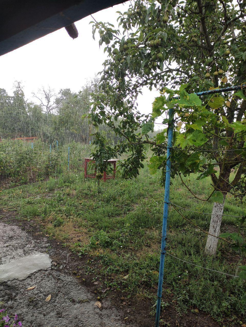 Фото №7: Дом 48 м² + 33.91 сот. - Гривенская, ул. Интернациональная, 71