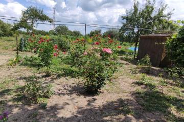 Фото №3: Дом 48 м² - Гривенская, ул. Интернациональная, 71