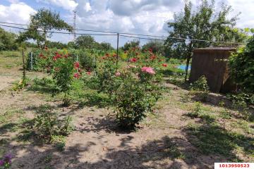 Фото №3: Дом 48 м² - Гривенская, ул. Интернациональная, 71