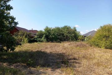 Фото №3: Земельный участок 6 сот. - Южный, ст Ивушка, ул. Цветочная, 29