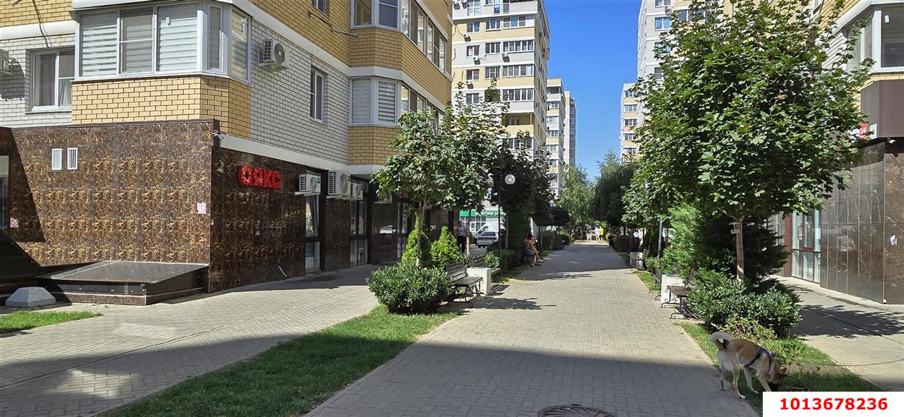 Фото №3: Торговое помещение 135 м² - Краснодар, Светлоград, ул. Красных Партизан, 1/4к8