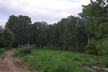 Фото №5: Земельный участок 304 сот. - некоммерческое  Берег Кубани, 