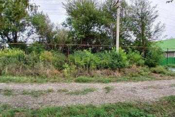Фото №3: Земельный участок под ИЖС 35.54 сот. - Львовское, ул. Октябрьская