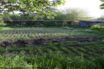 Фото №4: Дом 85 м² - Елизаветинская, мкр. Прикубанский внутригородской округ, ул. Ленина, 292