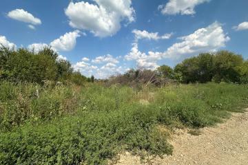 Фото №4: Земельный участок 10 сот. - Старобжегокай, ул. Лесная