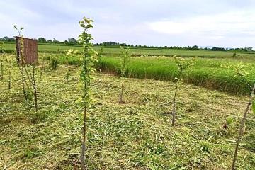 Фото №2: Коммерция 67 м² - Пролетарий, мкр. Центральный, ул. Юбилейная, 16