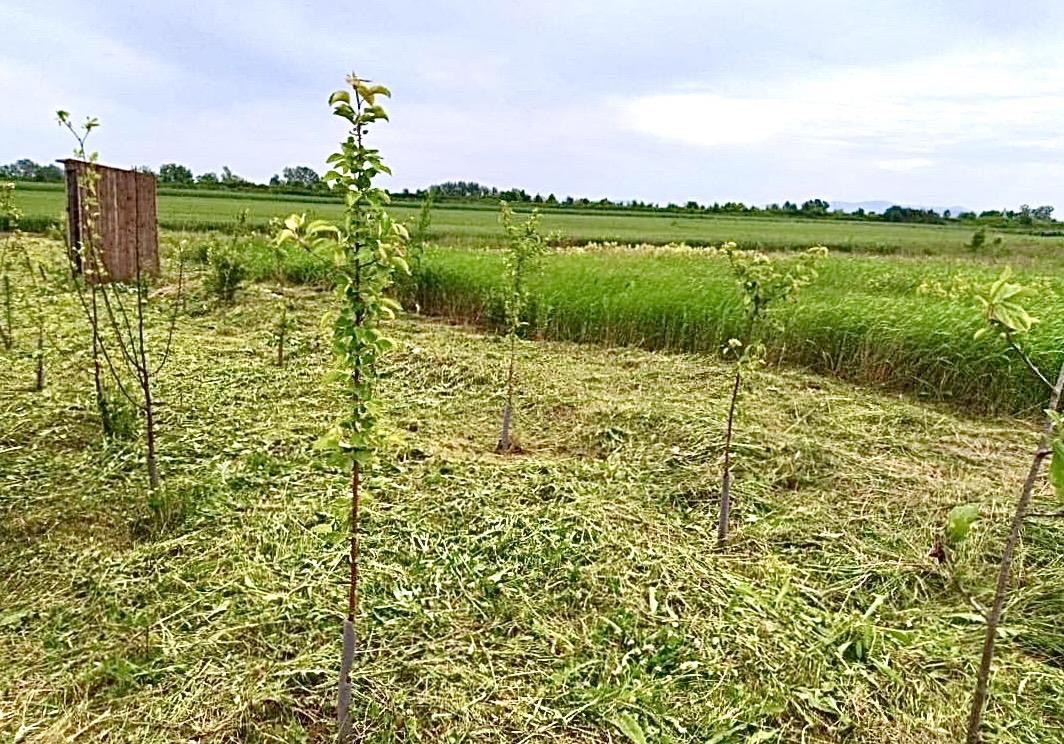 Фото №2: Коммерция 67 м² - Пролетарий, Центральный внутригородской округ, мкр. Центральный, ул. Юбилейная, 16