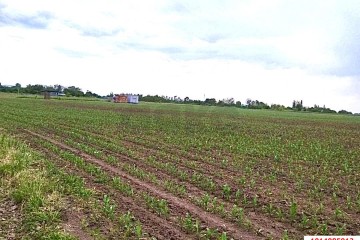 Фото №4: Коммерческая земля 67 сот. - Пролетарий, ул. Юбилейная, 16