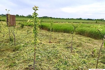 Фото №2: Коммерческая земля 67 сот. - Пролетарий, ул. Юбилейная, 16