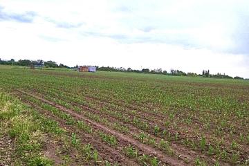 Фото №4: Коммерция 67 м² - Пролетарий, мкр. Центральный, ул. Юбилейная, 16