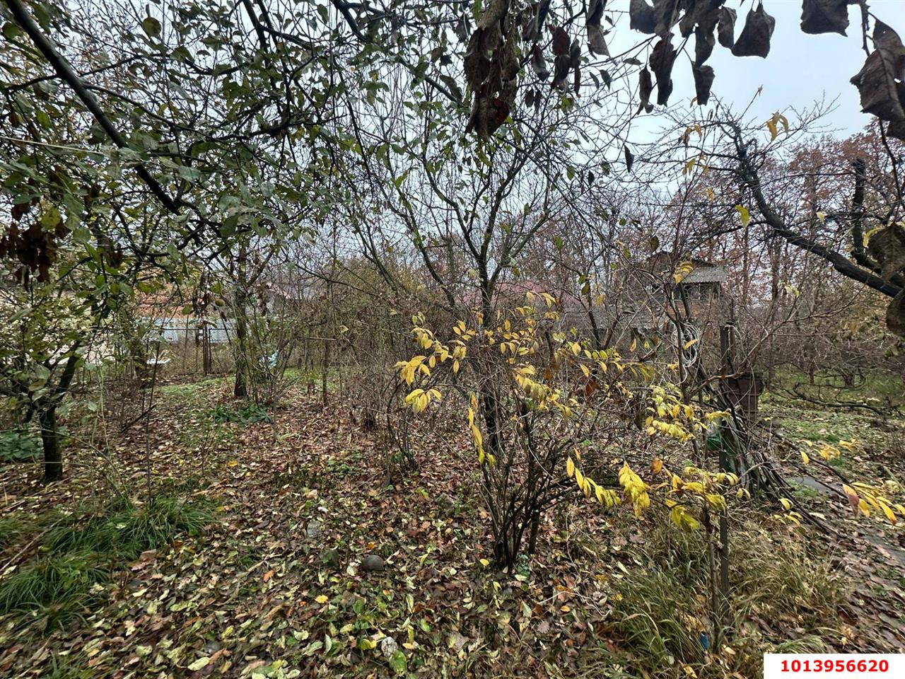 Фото №12: Дом 98 м² + 6.38 сот. - Авангард, Прикубанский внутригородской округ, ул. Садовая, 141