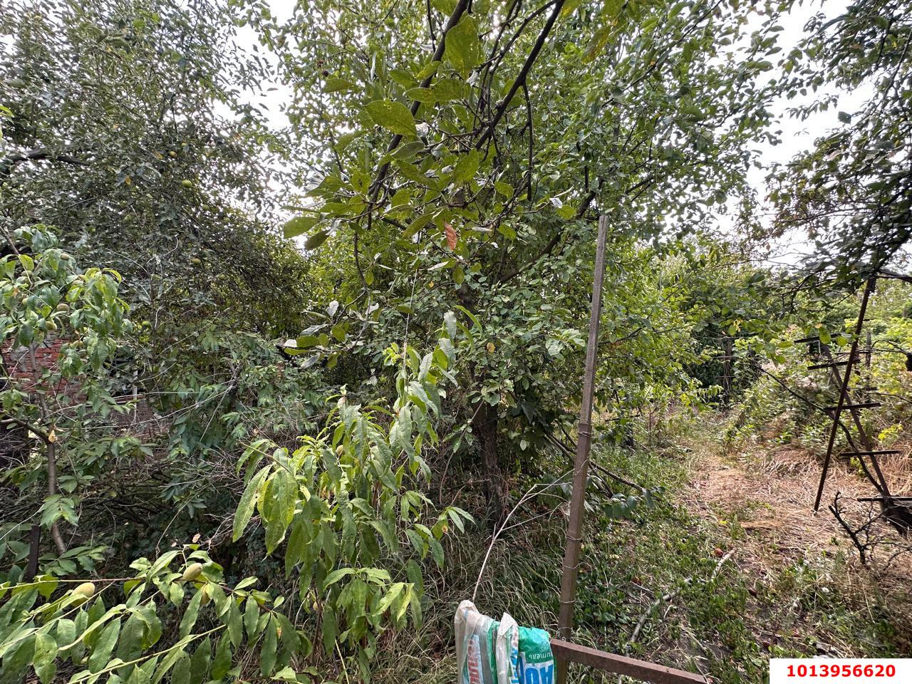 Фото №16: Дом 98 м² + 6.38 сот. - Авангард, Прикубанский внутригородской округ, ул. Садовая, 141