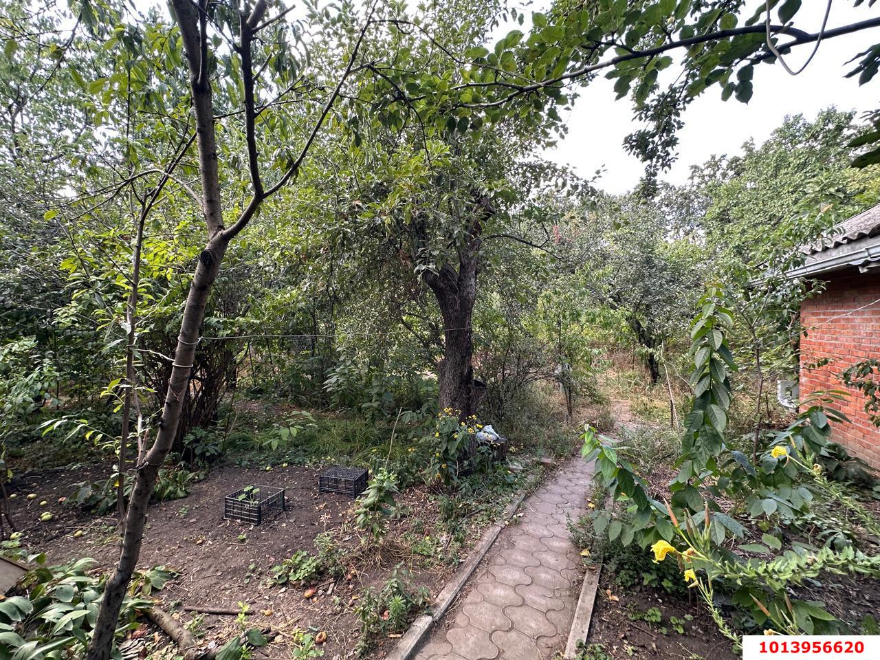 Фото №14: Дом 98 м² + 6.38 сот. - Авангард, Прикубанский внутригородской округ, ул. Садовая, 141