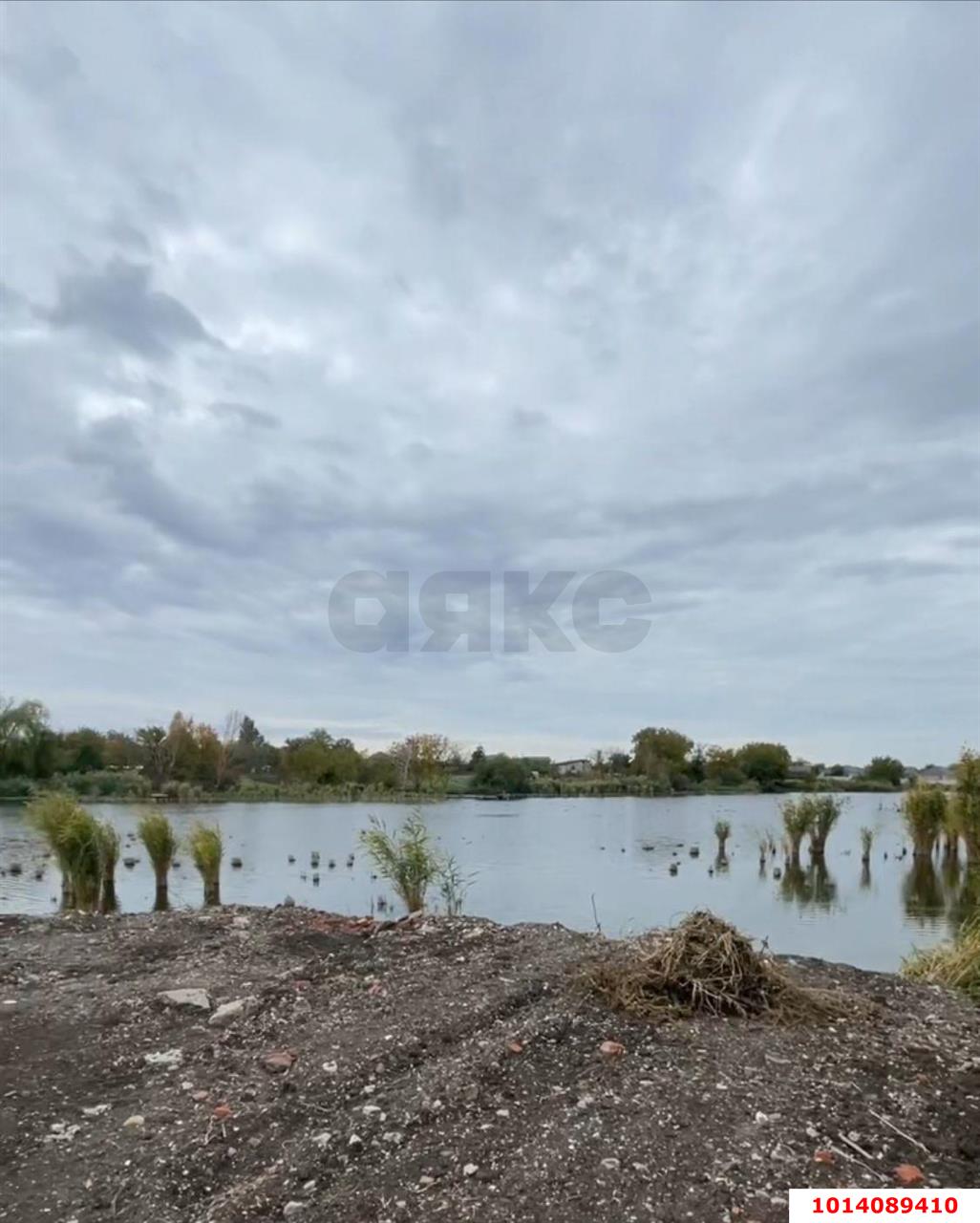 Фото №3: Дом 125 м² + 7 сот. - Платнировская, пер. Колхозный, 1