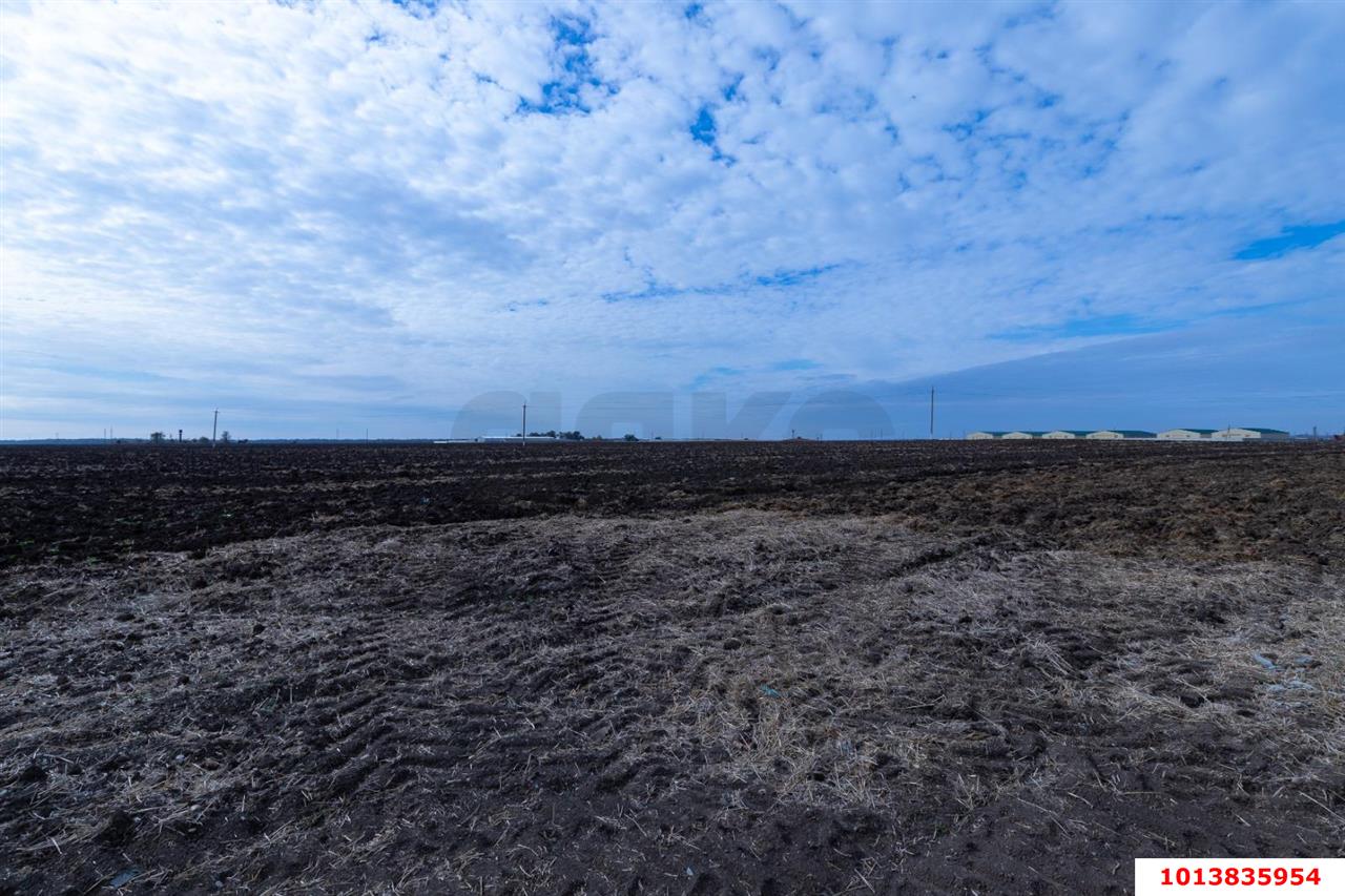 Фото №10: Коммерческая земля 2484 сот. - Новопокровская, 