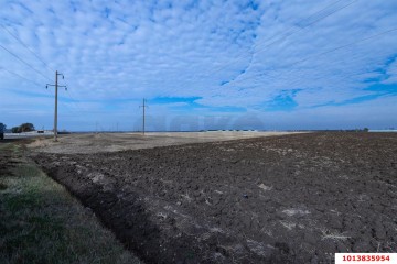 Фото №5: Коммерческая земля 2484 сот. - Новопокровская, 