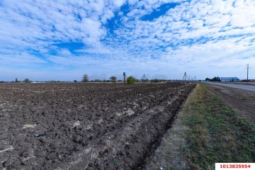 Фото №3: Коммерческая земля 2484 сот. - Новопокровская, 