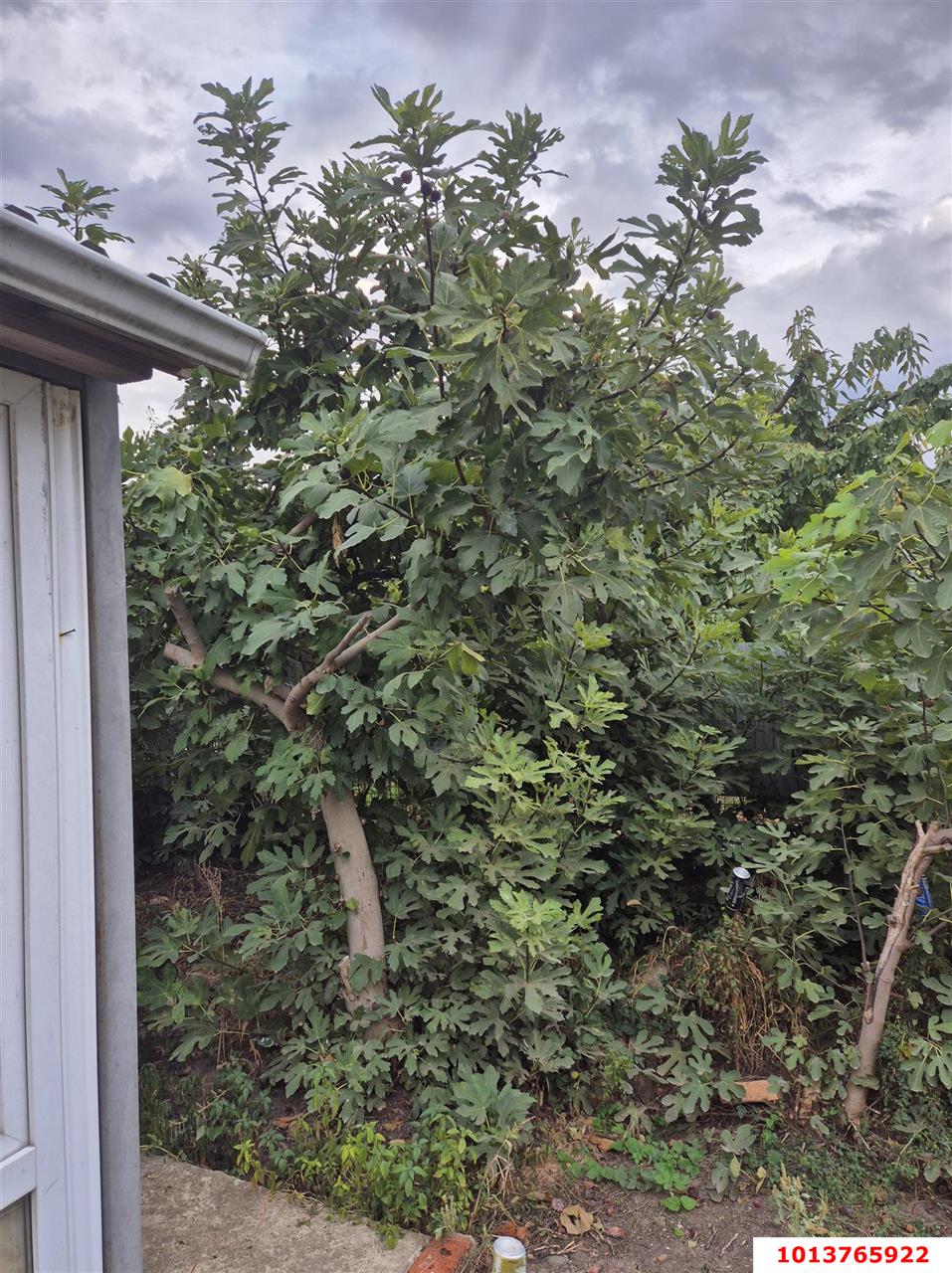 Фото №6: Дом 36 м² + 4 сот. - Ленина, Восток, ул. Степная, 442