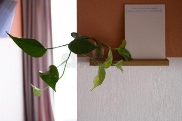 Фото №4: Апартаменты 47 м² - Анапа, ул. Северная, 9Бк1