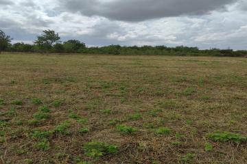 Фото №5: Земельный участок 8 сот. - Индустриальный, мкр. Прикубанский внутригородской округ, ул. Агаджановой