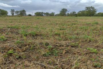 Фото №2: Земельный участок 8 сот. - Индустриальный, мкр. Прикубанский внутригородской округ, ул. Агаджановой