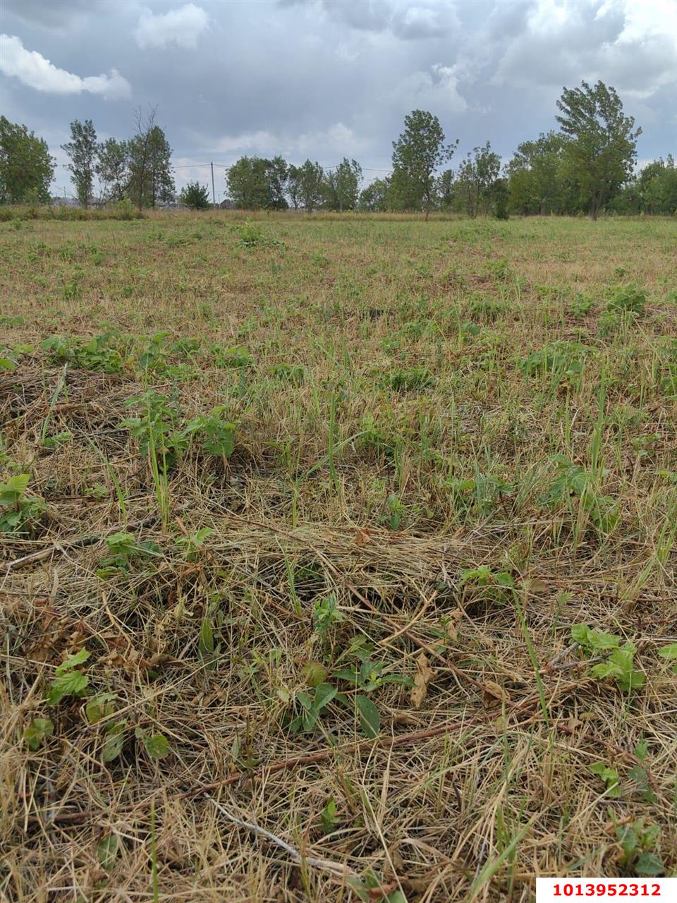 Фото №2: Земельный участок 8 сот. - Индустриальный, ул. Агаджановой