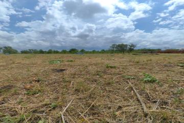 Фото №4: Земельный участок 8 сот. - Индустриальный, мкр. Прикубанский внутригородской округ, ул. Агаджановой