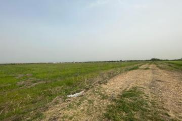 Фото №2: Земельный участок 180 сот. - Победитель, мкр. Прикубанский внутригородской округ, 