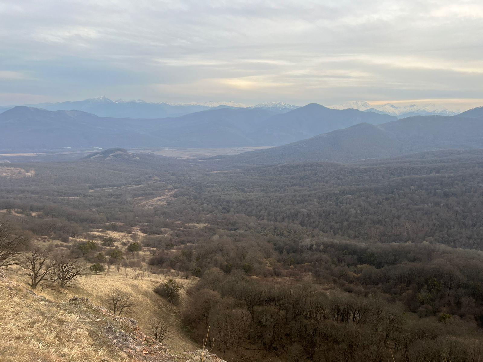 Фото №2: Коммерция 10 м² - Даховская, Прикубанский внутригородской округ, жилой комплекс Западный Город, Восточный, Западный внутригородской округ, Фестивальный, Карасунский внутригородской округ, Гидростроителей, Славянский, мкр. Светлоград, ул. Советская, 20