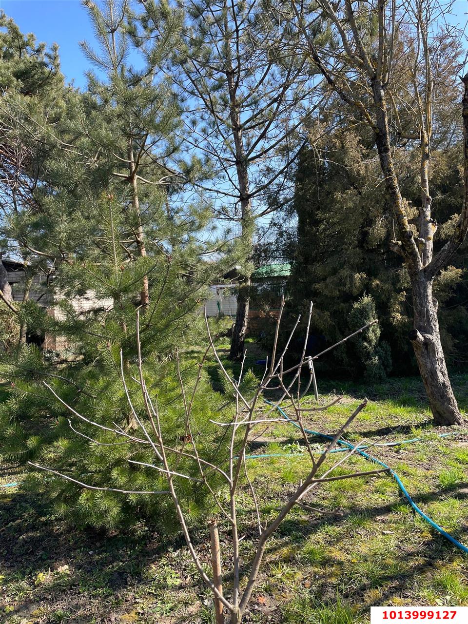 Фото №10: Дом 112 м² + 6 сот. - Афипский, ул. Революционная, 25А