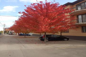 Фото №1: 2-комнатная квартира 53 м² - Краснодар, мкр. Табачная Фабрика, ул. Достоевского, 24