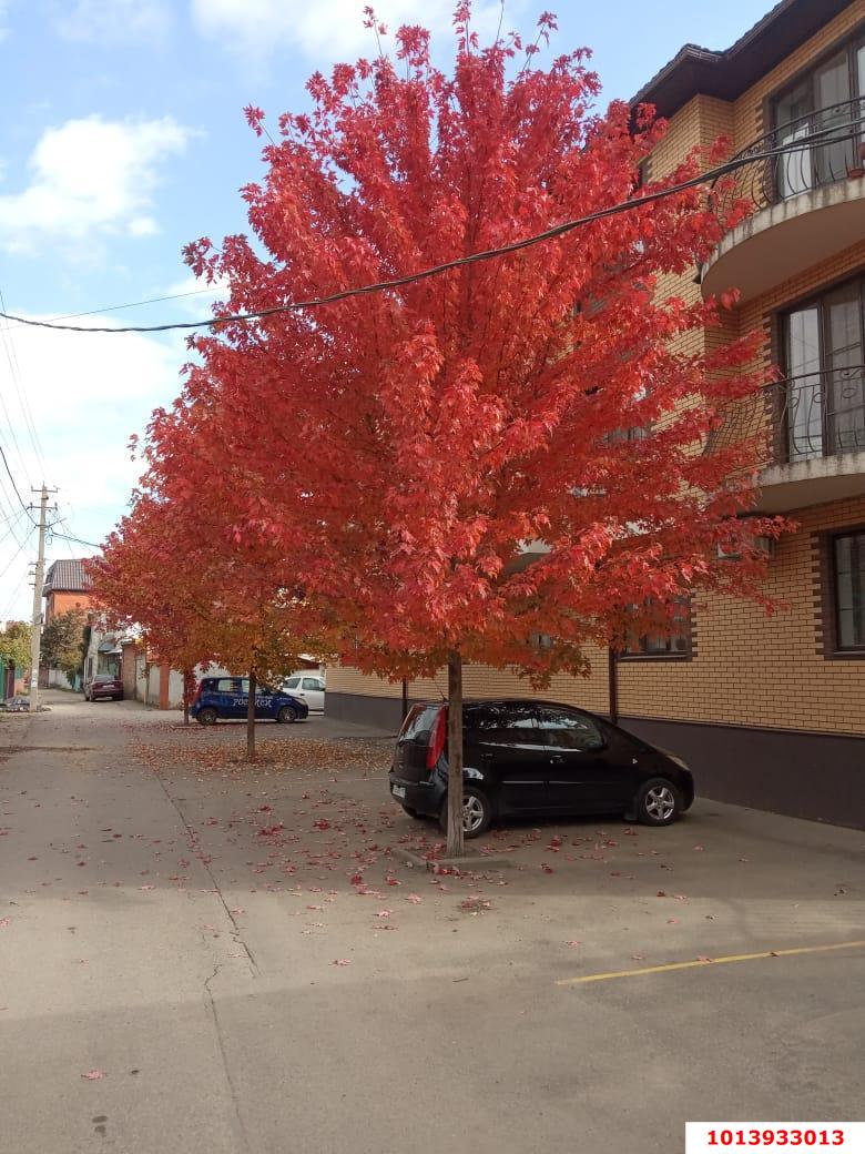 Фото №1: 2-комнатная квартира 53 м² - Краснодар, Табачная Фабрика, ул. Достоевского, 24