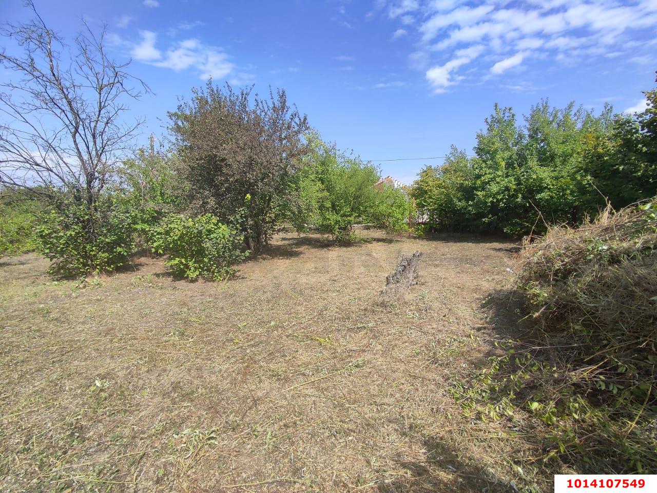 Фото №1: Личное подсобное хозяйство - СНТ Урожайное, мкр. Прикубанский внутригородской округ, ул. Абрикосовая