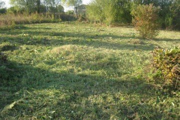 Фото №2: Участок садоводство 9.9 сот. - СНТ Урожайное, мкр. Прикубанский внутригородской округ, ул. Алычёвая, 3