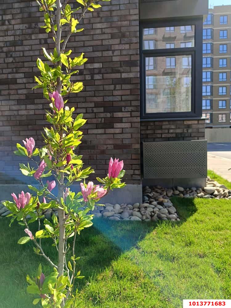 Фото №10: 2-комнатная квартира 59 м² - Краснодар, жилой комплекс Спортивная Деревня, ул. имени Генерала Корнилова, 14к1