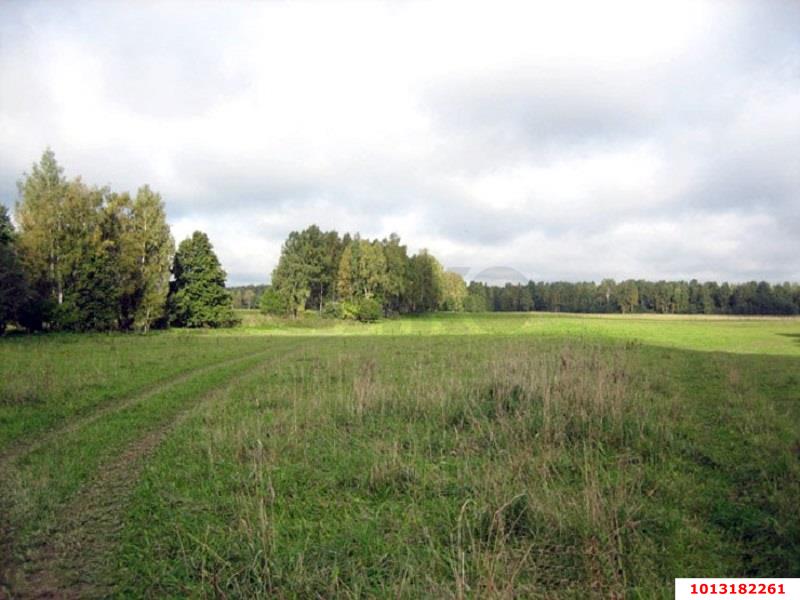 Фото №5: Земельный участок под ИЖС 23.4 сот. - Левченко, ул. Центральная, 64