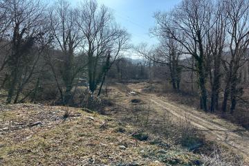 Фото №2: Коммерция 79 м² - Даховская, 