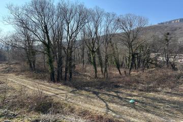 Фото №3: Коммерция 79 м² - Даховская, 