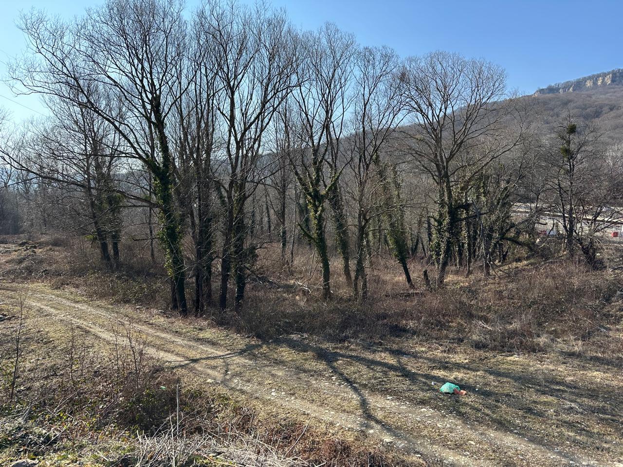 Фото №3: Коммерция 79 м² - Даховская