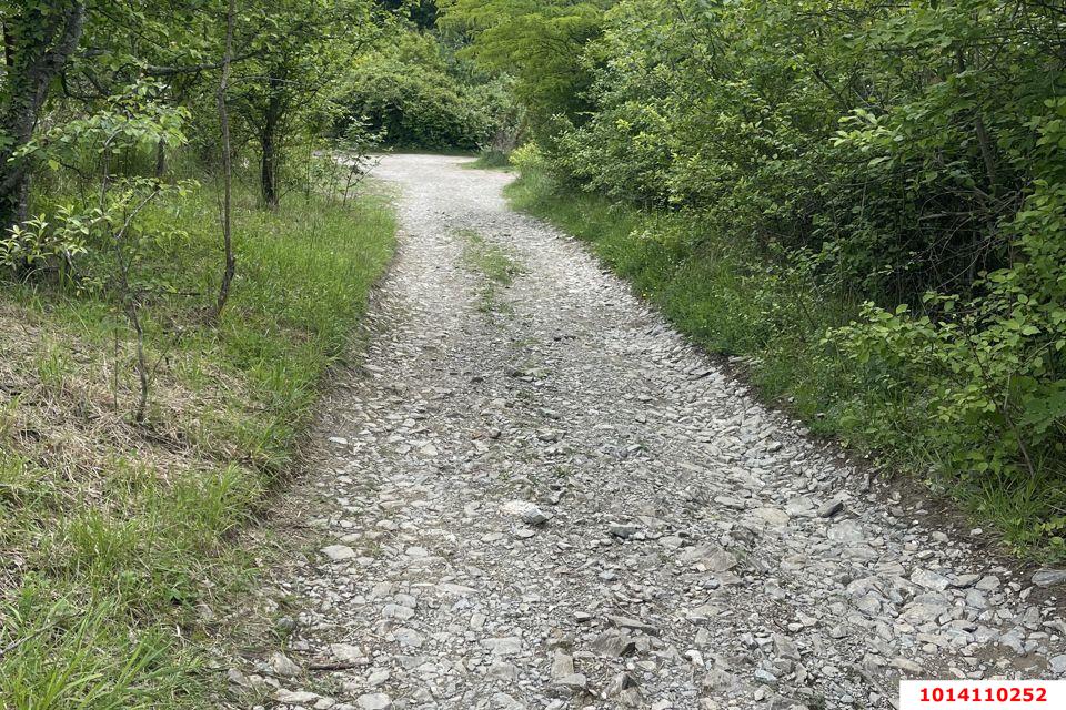 Фото №6: Участок садоводство 4.01 сот. - Джубга, ул. Новороссийское шоссе, 117