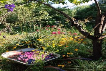 Фото №2: Земельный участок 5.97 сот. - Елизаветинская, ст Орбита, ул. Земляничная, 182