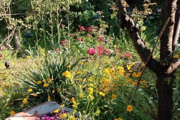 Фото №2: Участок садоводство 5.97 сот. - Елизаветинская, ст Орбита, ул. Земляничная, 182